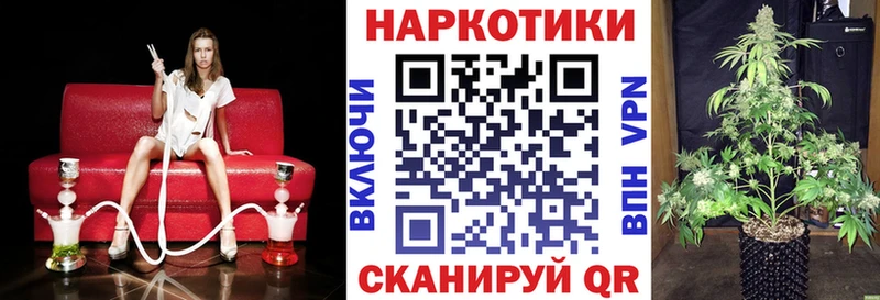 Виды наркотиков купить Новый Оскол Кокаин  Меф мяу мяу  Псилоцибиновые грибы  МЕГА зеркало  Alpha PVP  ГАШ 