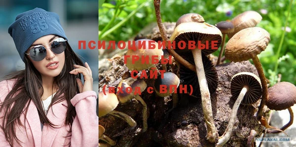 соль курить ск Бородино