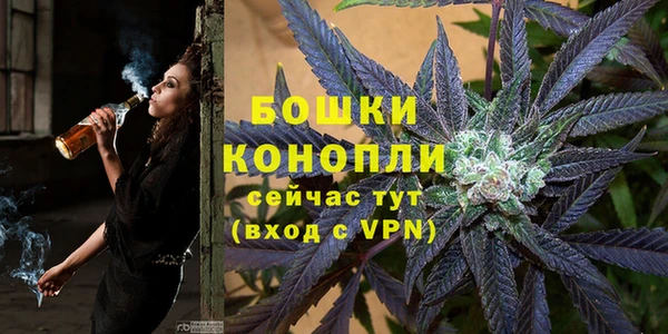 крисы Богородск