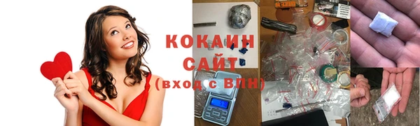 ПСИЛОЦИБИНОВЫЕ ГРИБЫ Покров