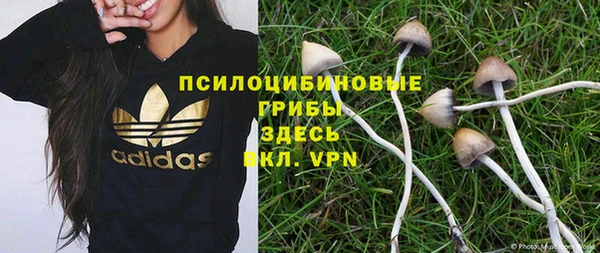 соль курить ск Бородино