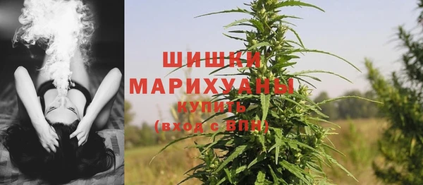 крисы Богородск