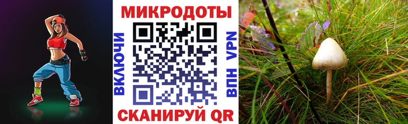 цена наркотик Новый Оскол Псилоцибиновые грибы MAGIC MUSHROOMS
